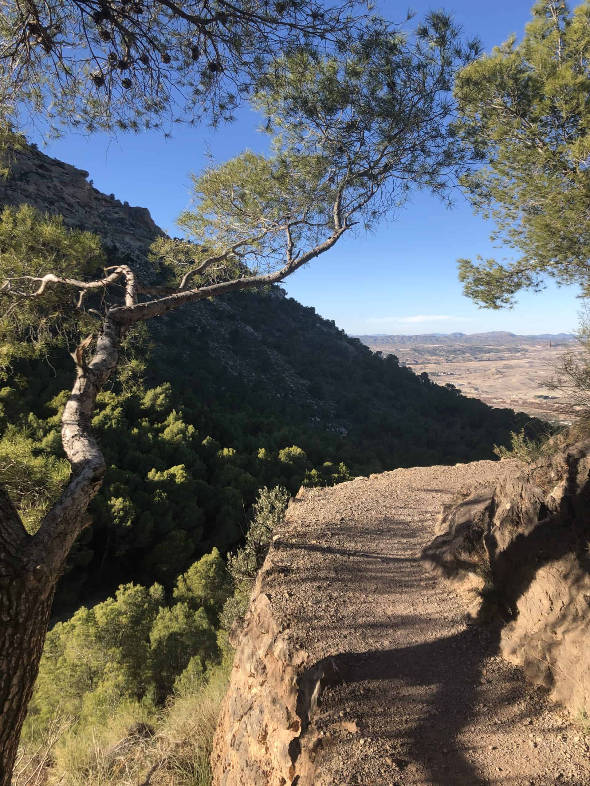 Winter activities in Spain. Hiking trail in the lush forest and mountains around Lorca, Murcia